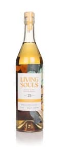 Dumbarton 25 Year Old Single Grain - Living Souls